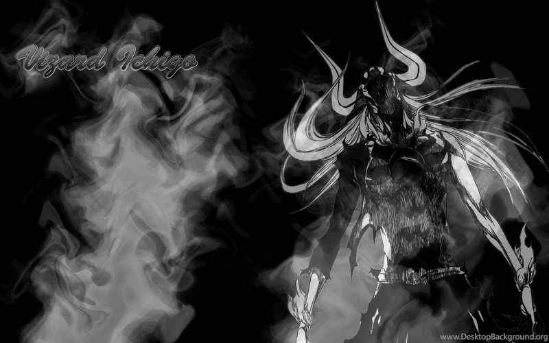 Bleach,Kurosaki Ichigo Bleach Kurosaki Ichigo Vizard Vastolorde ...