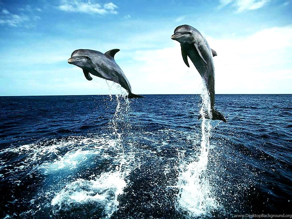 Beautiful Beach Hd Wallpapers (59)