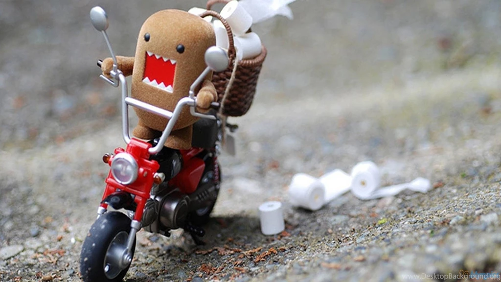 Wallpapers Lol Face Nature Fancy Grumpy Cat Zombie 1920x1080 ...