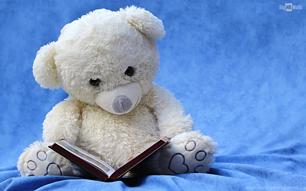 Cute Teddy Bear