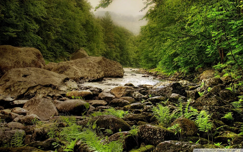 Download Nature Scenes 13 Wallpapers Wallpapers Printed