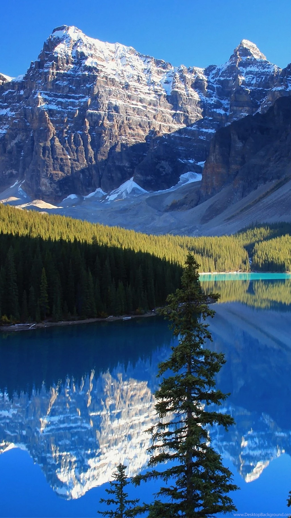 Full HD 1440x2560 Wallpapers Img 2
