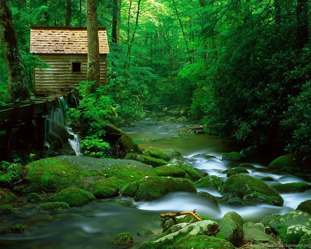 Images Of Nature Scenes Widescreen HD Wallpapers