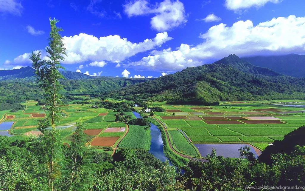 Hd Nature Scenes As Well As Nature Scene Wallpapers Hd Scene ...