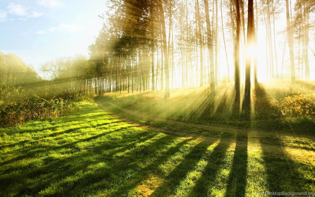 Nature Images Free Download For PC Nature Images Pictures High ...