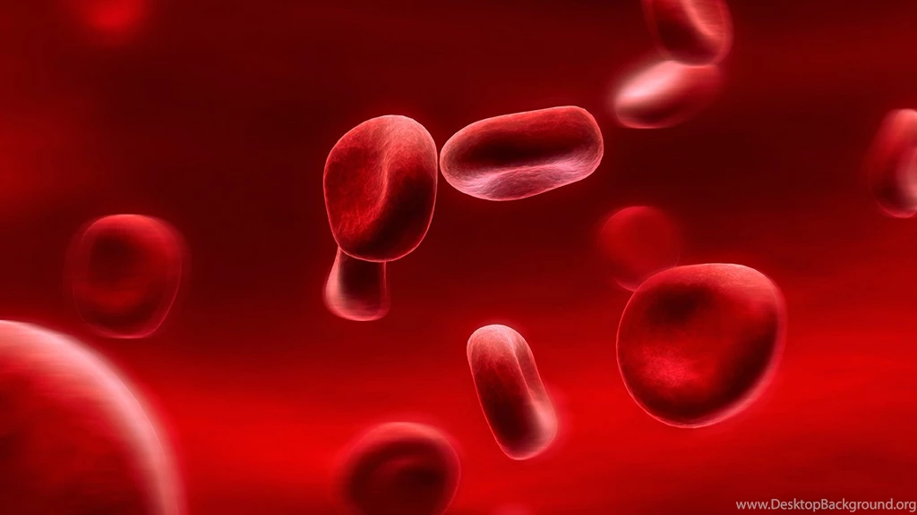 Pic New Posts: Blood Elf Hd Wallpapers