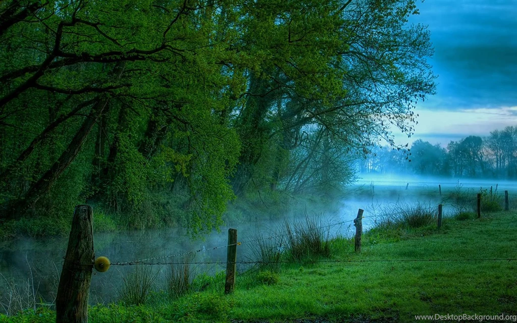 Fresh And Rich Green Natural Beauty Photography Wallpapers 12 ...