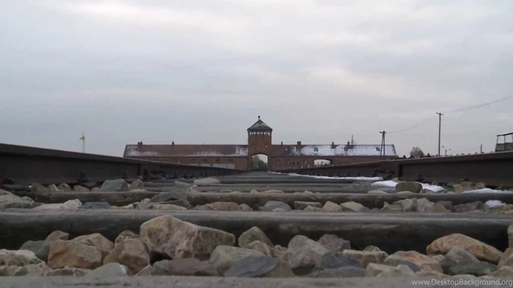 The Holocaust    Glue For Wallpaper?" Documentary Trailer (ENG ...