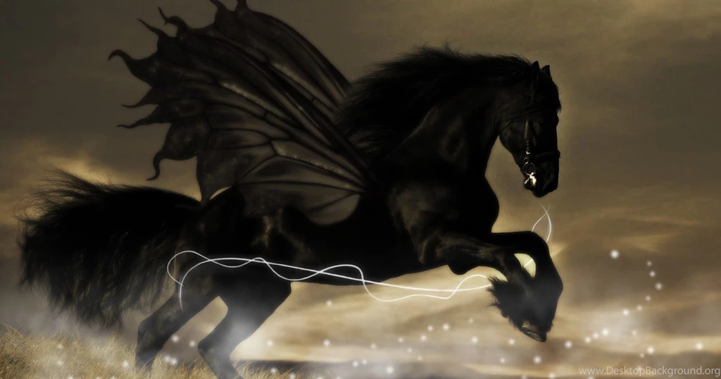 Black Horse Wallpapers HD Wallpaper Backgrounds Of Your Choice