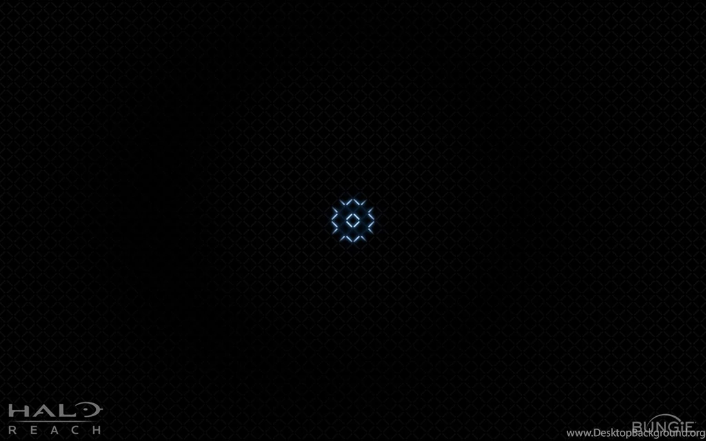 Bungie's Weekly Updates