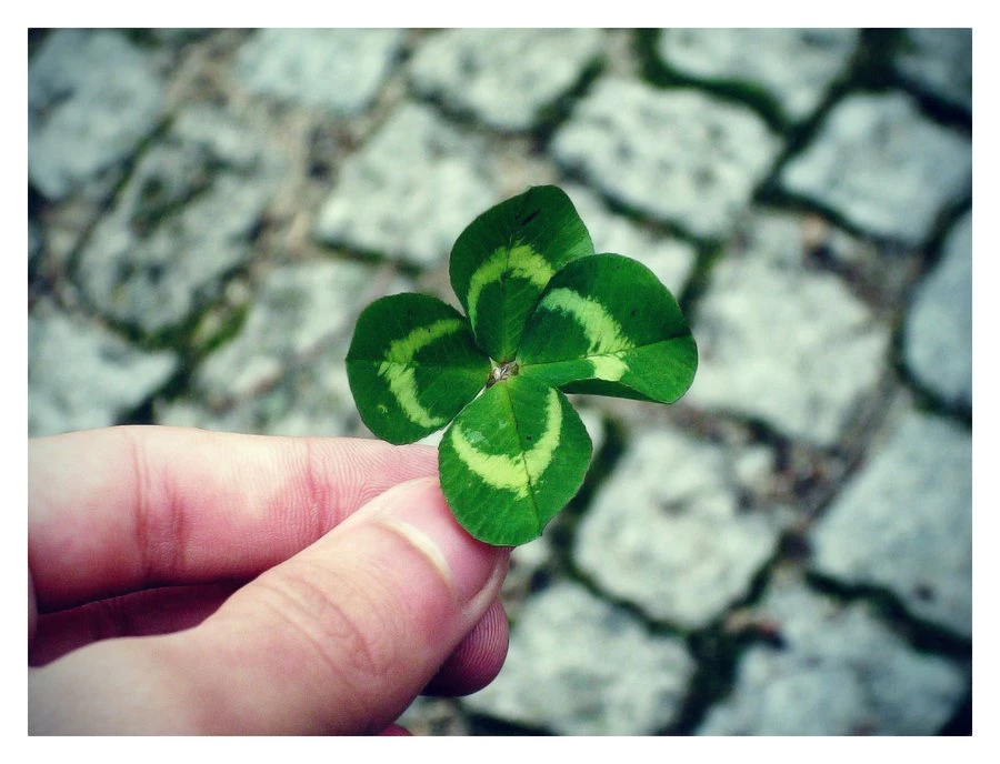 Lucky Charm By Maiisalex On DeviantArt