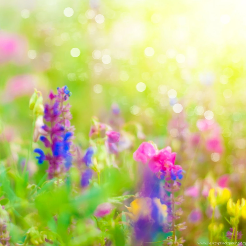 Wallpapers Dinosaurs Spring Free Hd 1920x1920