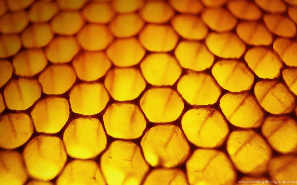 Windows 8 Honeycomb Bees Wallpapers