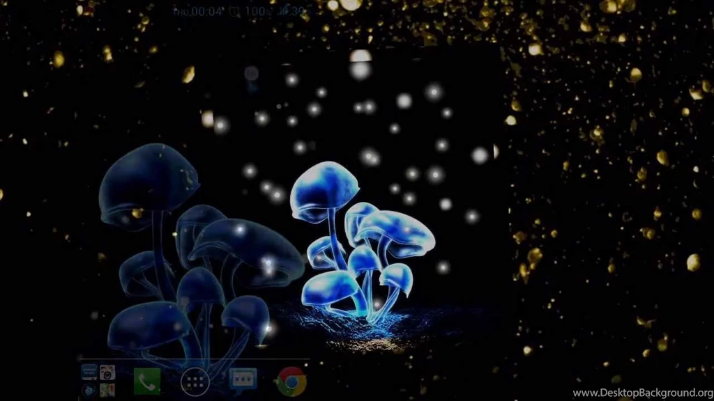 Mushroom Light Live Wallpapers CPRsoft YouTube