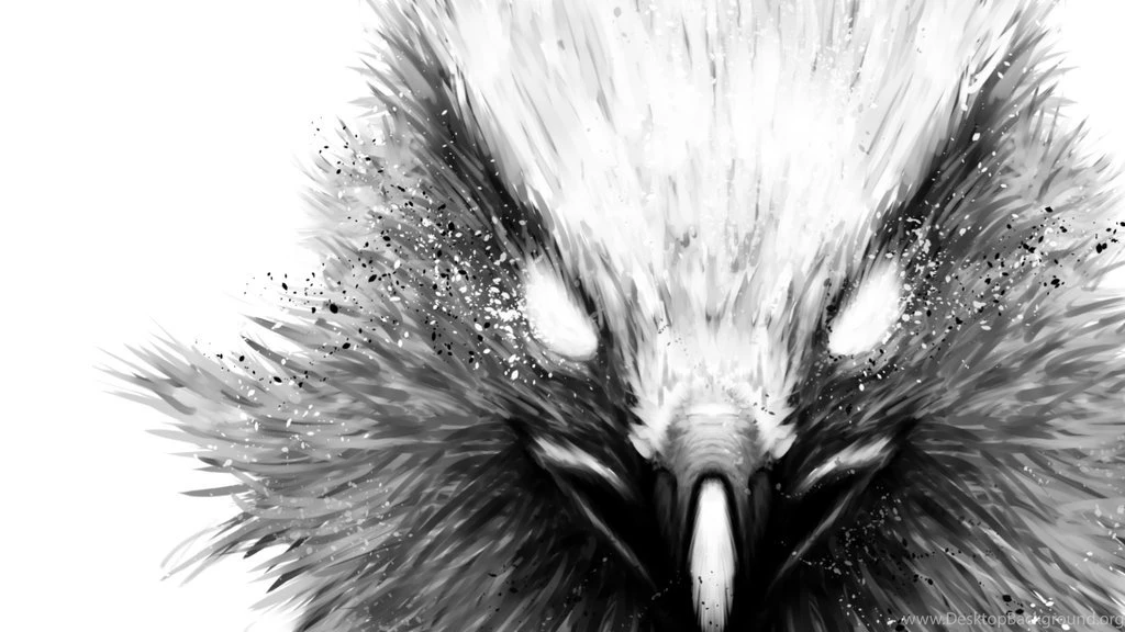 The Hawk Wallpapers 1920x1080 By FuShan On DeviantArt