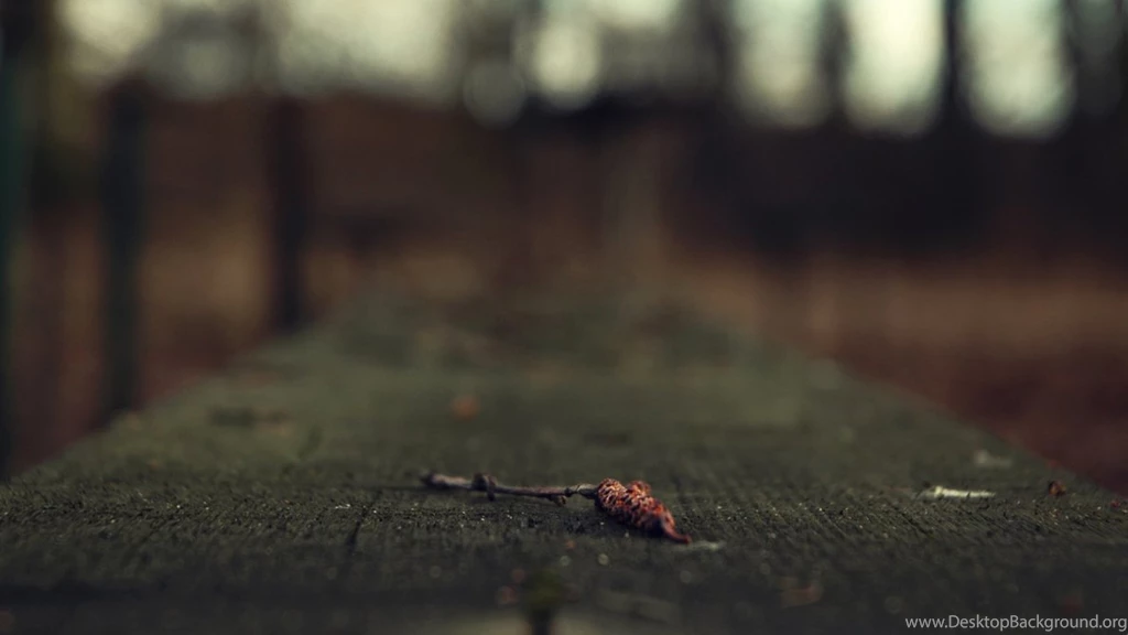 On Bench wallpaper 1920x1080 By DesireArtz On DeviantArt