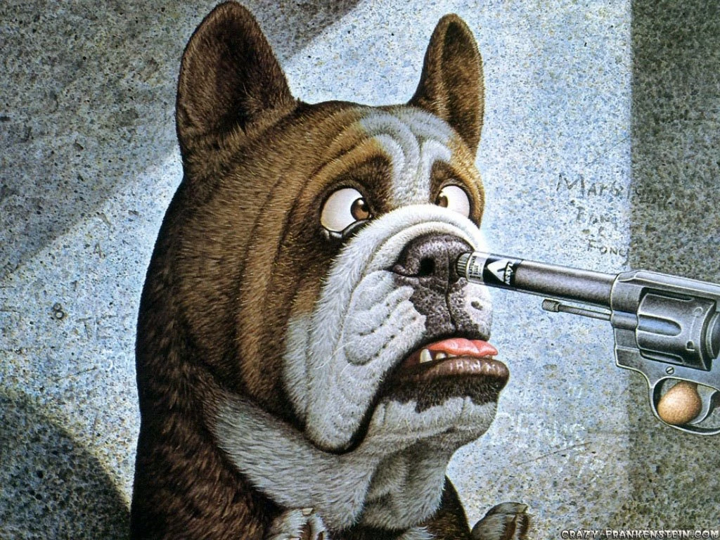 Funny Animal Wallpapers Page 2 Crazy Frankenstein