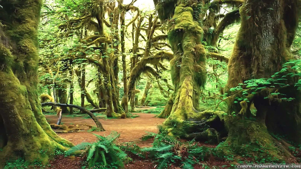 Summer Forest Wallpapers Crazy Frankenstein
