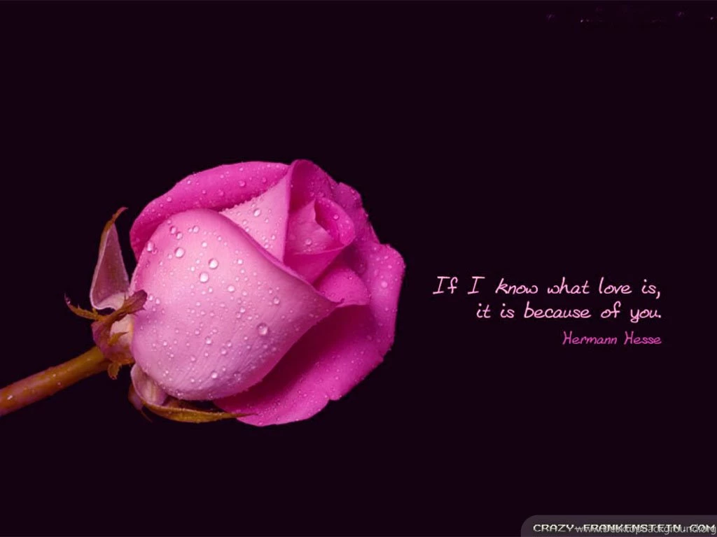 Romantic Quotes Wallpapers Crazy Frankenstein ILoveQuotes.net