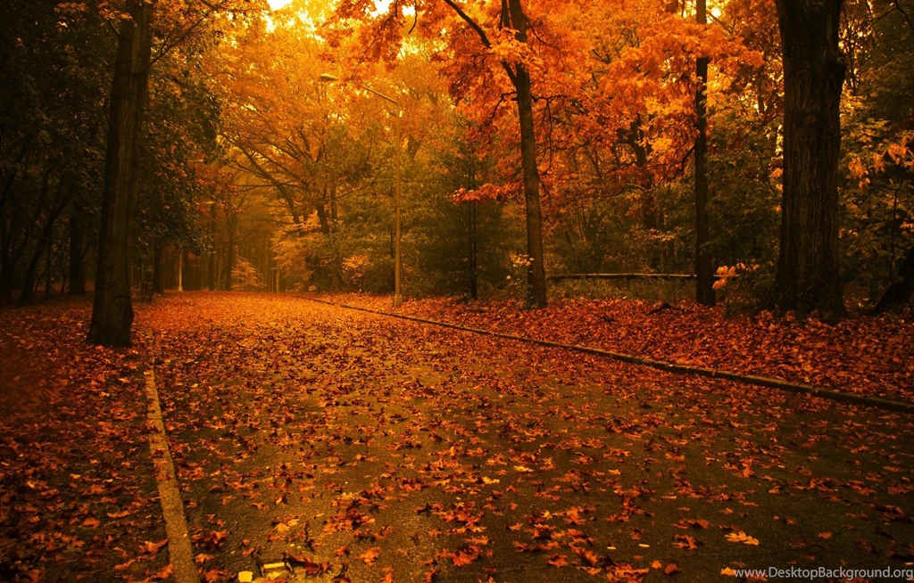 Background Images Fall Wallpapers Zone