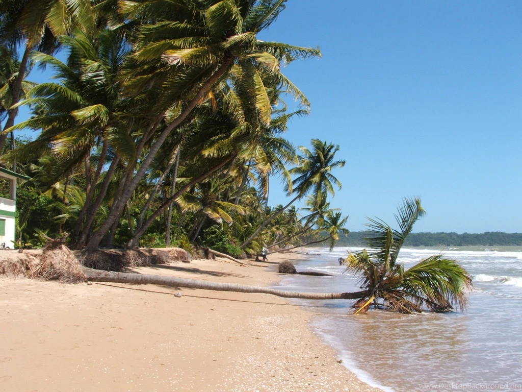 Mayaro Beach, Trinidad & Tobago 1920x1080p HD Beach Travel Wallpapers