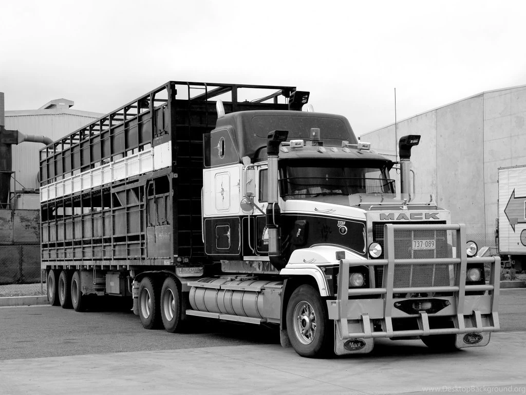Mack Titan Picture