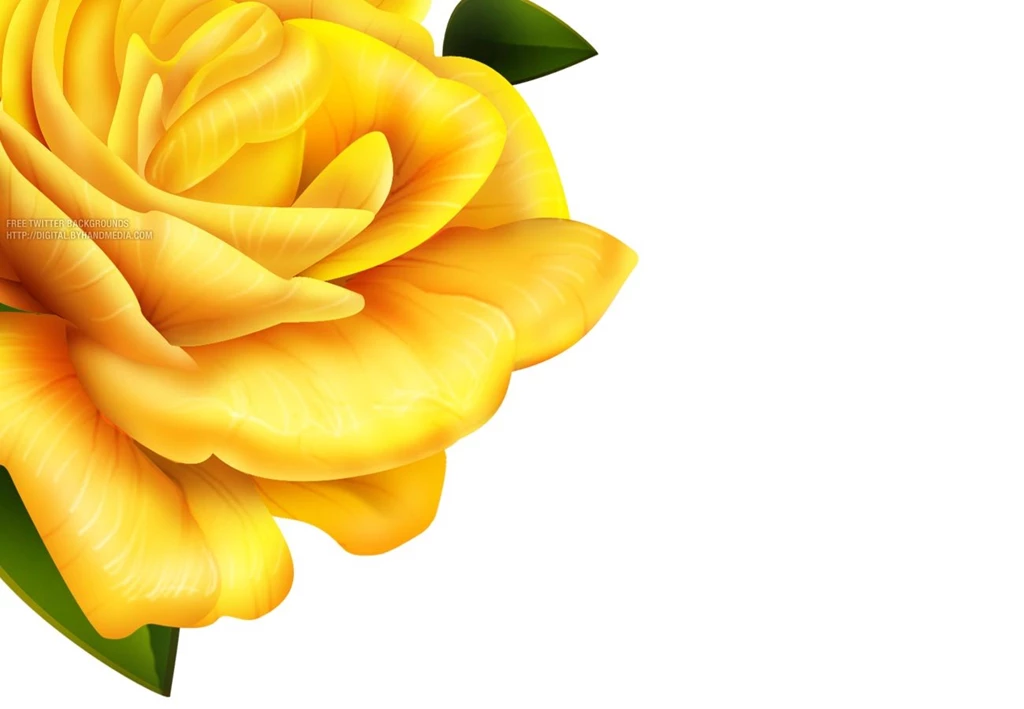 Yellow Flower Twitter Backgrounds Design