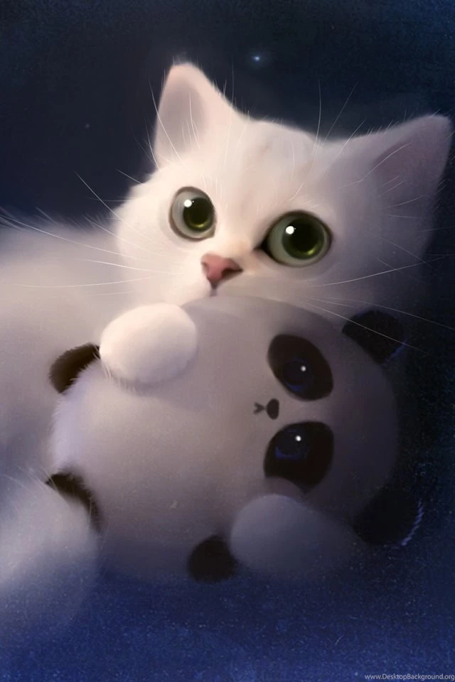 cat wallpapers for iphone