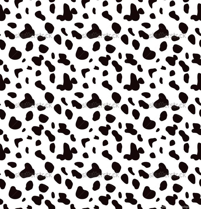 Seamless Pattern Of Dalmatian Spots Natural Textures Sample Image ...