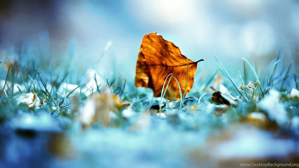 Wallpapers HD Widescreen High Quality Desktop 3D Cool 92107n ...