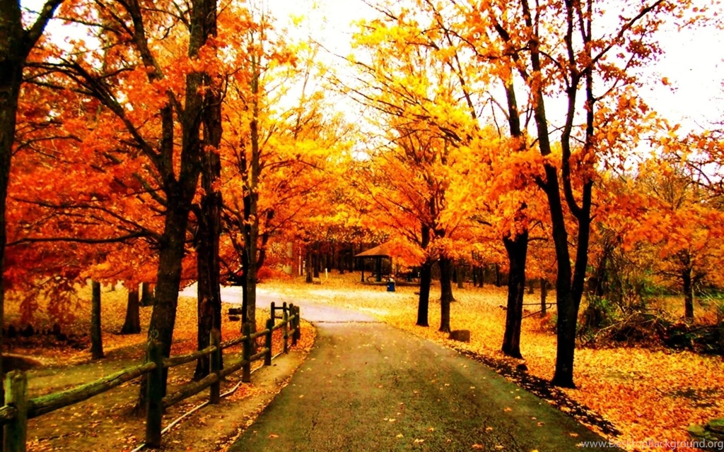 Pretty Fall Backgrounds Wallpapers Cave