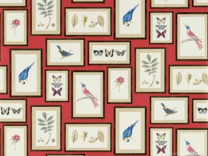 Sanderson wallpapers voyage of discovery