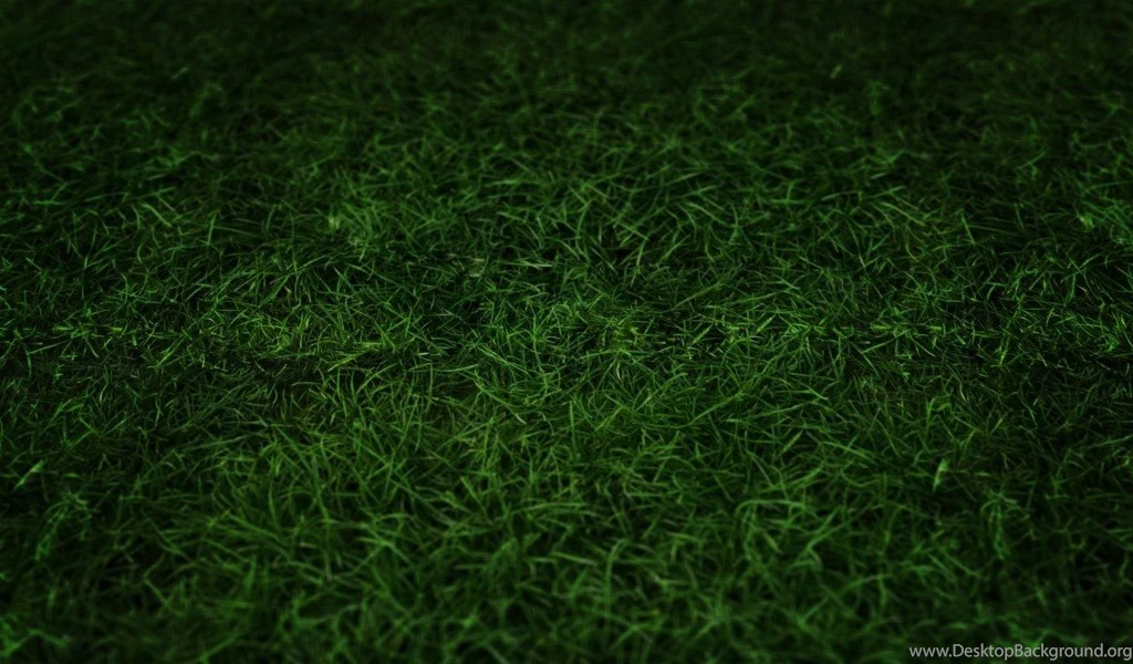Grass Wallpapers HD For Android . Best High Resolution Desktop ...