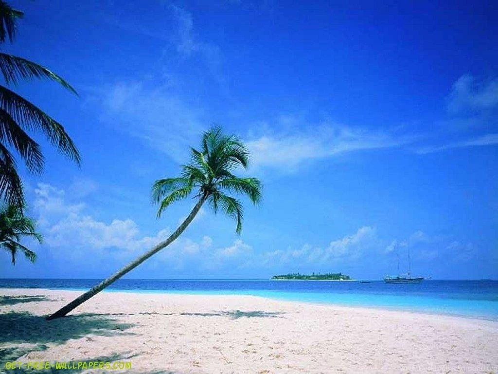 Awesome Beautiful Beach Scenery MN8