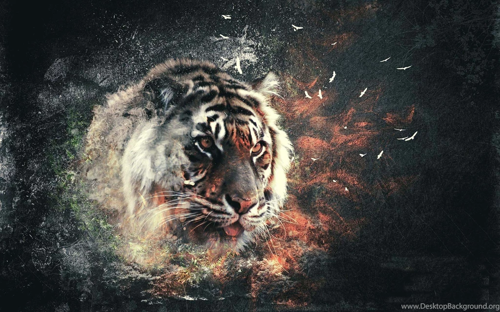3D Tiger Wallpapers Wallpapers HD Wide