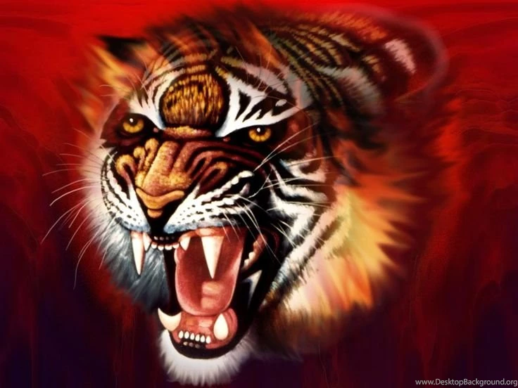 Tiger 3D Wallpapers