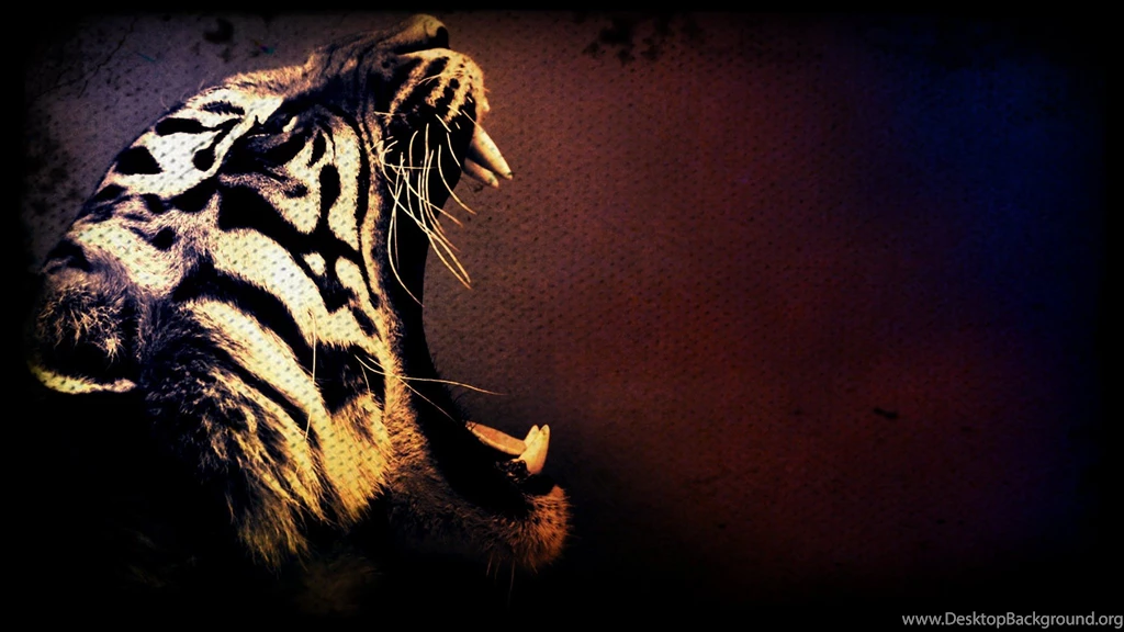 3D Tiger HD Wallpapers