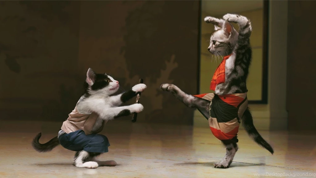 Japan Kittens Fighting Wallpaper, Photo, Humor
