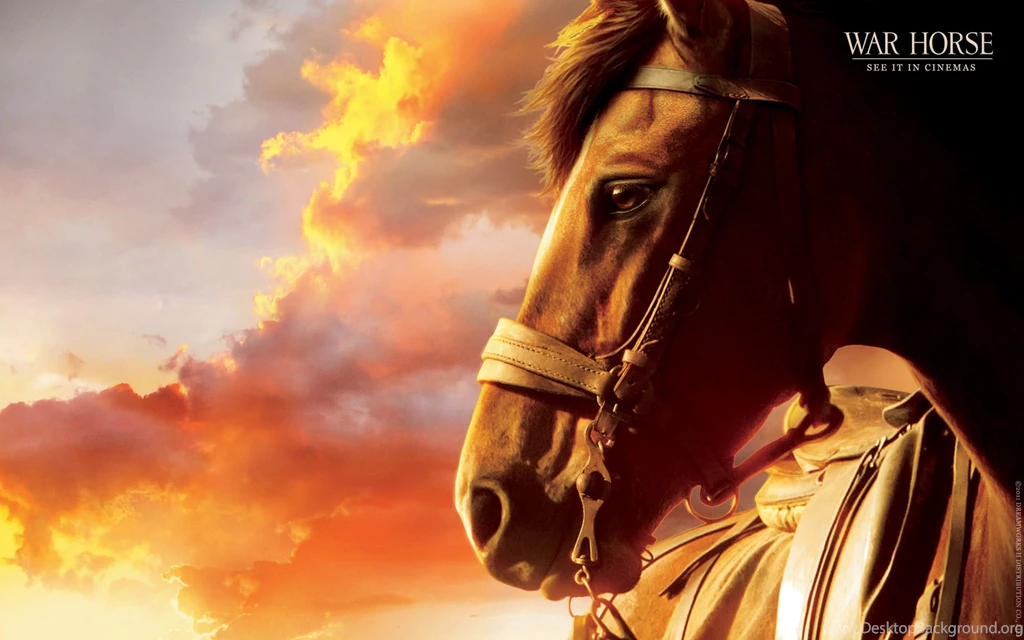 3   War Horse The Movie Wallpapers (28668918)   Fanpop