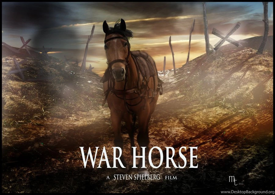 War Horse Favourites By MegaBlueWolf On DeviantArt