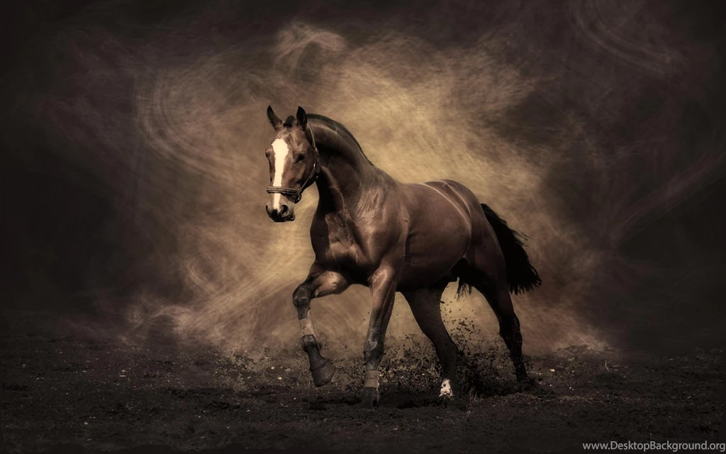 Horse Wallpapers