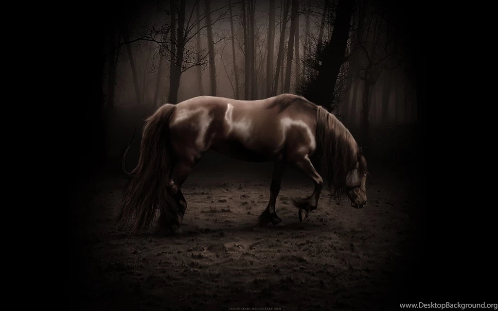 Download Brown War Horse Wallpapers In 1680x1050 Resolution