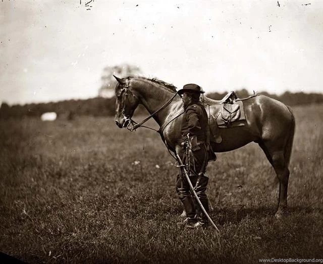 War Horse Wallpapers 640x960 For Mobile Phone