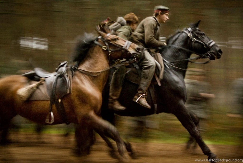 Horse Pictures Images Wallpapers Photos 2013: War Horse Pictures ...