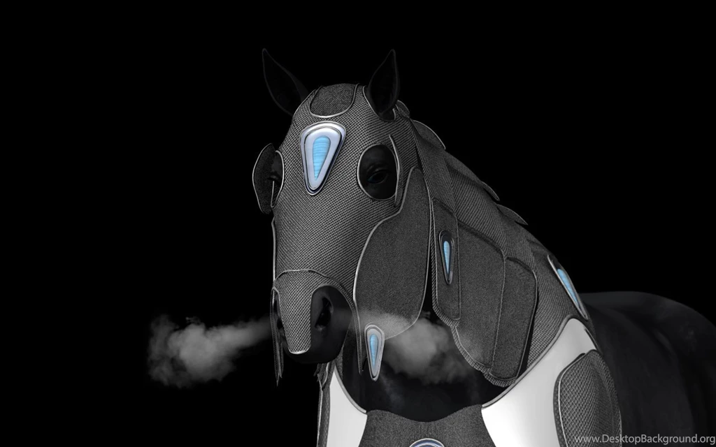 Warhorse Wallpapers By 7DaysOfRain On DeviantArt