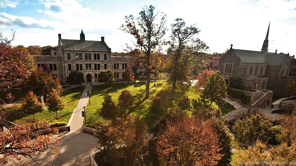 Show Your Greyhound Pride Undergraduate Admission Loyola ...