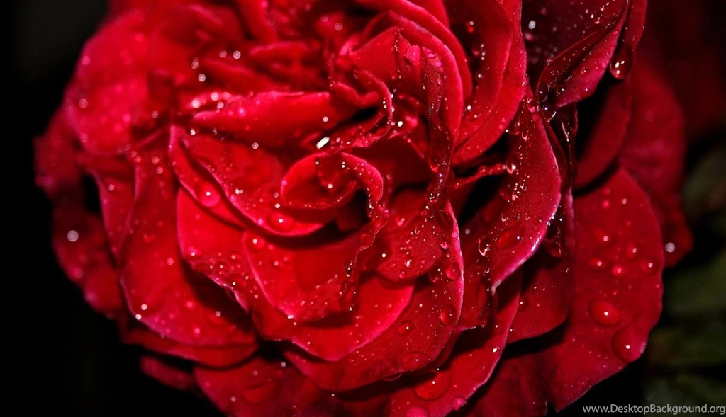 Wallpapers Colors Dark Abstract Definition 1366x786 HD Wallpapers