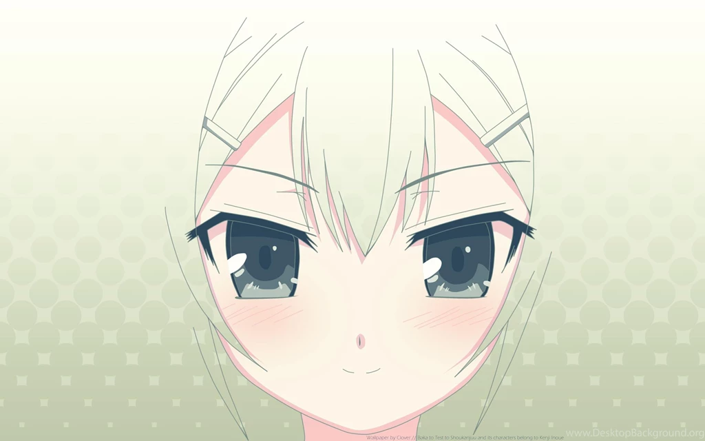BAKA TO TEST TO SHOKANJU WALLPAPER (