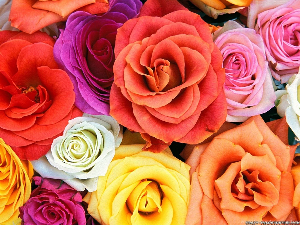 Wallpaper: Flowery Wallpapers B And Q