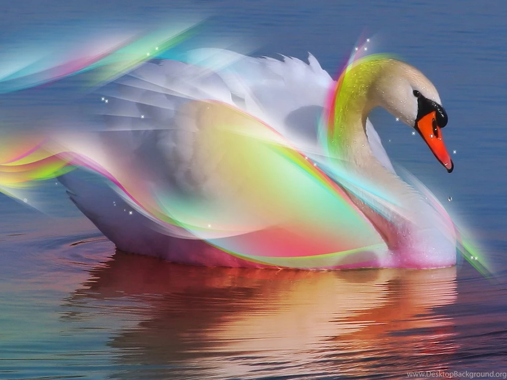 Free 3d Hd Swan Wallpapers Free Hd Wallpapers
